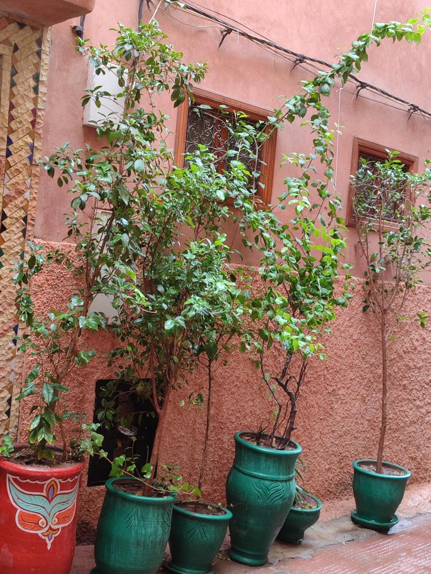 מרקש Riad Zahri מראה חיצוני תמונה